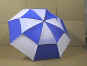 BLUE1.jpg (46784 bytes)