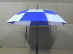 BLUE3.jpg (39656 bytes)